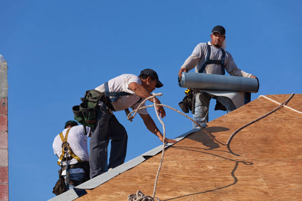 Best Storm Damage Roof Repair  in Darien, IL